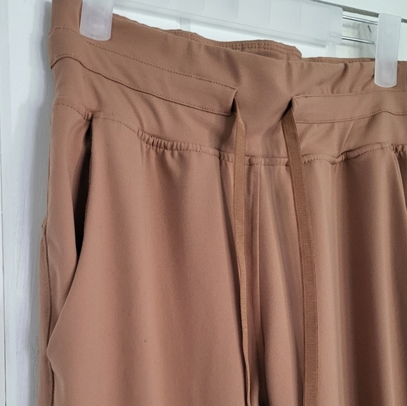 Zyia Activewear Camel Ascend  Athleisure Sporty Performance Jogger Pants-M - Picture 4 of 11